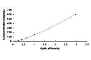 ELISA image for Hemoglobin ELISA Kit (ABIN1118091)