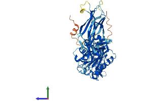 AlphaFold protein structure predicition of Human Recombinant CPNE4 Protein, UniprotID Q96A23