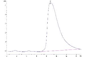 The purity of Human PGF is greater than 95 % as determined by SEC-HPLC.