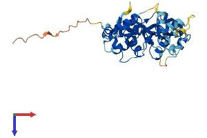 AlphaFold protein structure predicition of Human Recombinant PRKAG1 Protein, UniprotID P54619