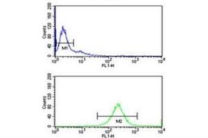 C7 antibody flow cytometry analysis of Ramos cells (green) compared to a negative control (blue).