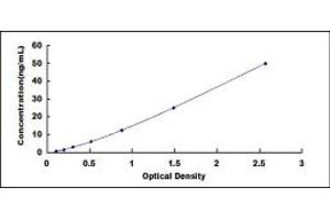 ELISA image for alpha-2-Macroglobulin (A2M) ELISA Kit (ABIN1874321)