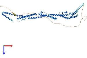 AlphaFold protein structure predicition of Mouse Recombinant Prc1 Protein, UniprotID Q99K43