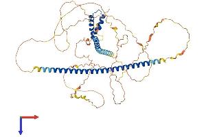 AlphaFold protein structure predicition of Mouse Recombinant Tox3 Protein, UniprotID Q80W03