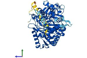 AlphaFold protein structure predicition of Human Recombinant FAAH2 Protein, UniprotID Q6GMR7
