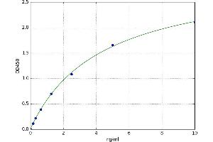 Nuclear Factor, Interleukin 3 Regulated (NFIL3) ELISA Kit
