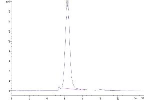 The purity of Biotinylated Human B7-H6 is greater than 95 % as determined by SEC-HPLC.