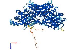 AlphaFold protein structure predicition of Mouse Recombinant Pfkp Protein, UniprotID Q9WUA3