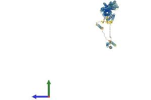 AlphaFold protein structure predicition of Human Recombinant SYNE3 Protein, UniprotID Q6ZMZ3
