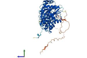 AlphaFold protein structure predicition of Human Recombinant UBASH3B Protein, UniprotID Q8TF42