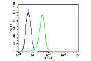 Overlay histogram showing A549 cells stained with (ABIN650693 and ABIN2839113) (green line).