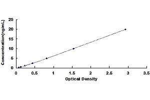 Typical standard curve