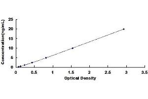 Typical standard curve (SLC1A3 Kit ELISA)