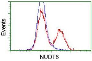 HEK293T cells transfected with either RC203470 overexpress plasmid (Red) or empty vector control plasmid (Blue) were immunostained by anti-NUDT6 antibody (ABIN2454159), and then analyzed by flow cytometry. (NUDT6 anticorps)