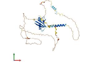 AlphaFold protein structure predicition of Human Recombinant TFG Protein, UniprotID Q92734