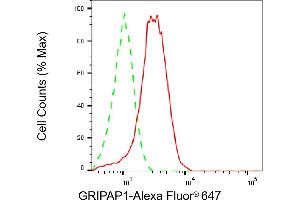 Flow cytometric analysis of GRIPAP1 expression in HepG2 cells using GRIPAP1 antibody (ABIN7798803), 1:2,000). (GRIPAP1 anticorps)