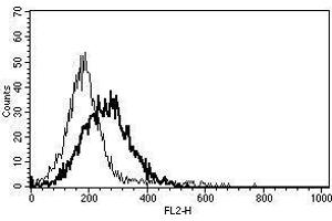 A typical staining pattern with the B-S23 monoclonal antibody of IFNa2+CD3 mAb+CD28 mAb activated lymphocytes
