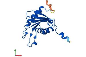 AlphaFold protein structure predicition of Mouse Recombinant Cda Protein, UniprotID P56389