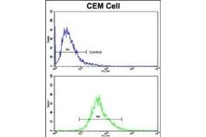 Flow cytometric analysis of CEM cells using KLRD1 Antibody (N-term)(bottom histogram) compared to a negative control cell (top histogram).