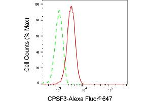 Flow cytometric analysis of CPSF3 expression in HepG2 cells using CPSF3 antibody (ABIN7798096), 1:2,000).