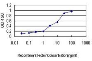 Detection limit for recombinant GST tagged NFX1 is approximately 0.