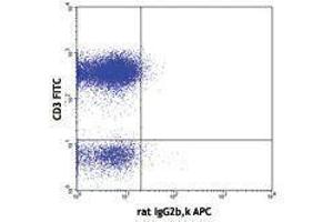 Flow Cytometry (FACS) image for anti-Chemokine (C-X3-C Motif) Receptor 1 (CX3CR1) antibody (APC) (ABIN2658299)
