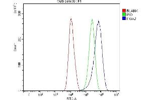 Flow Cytometry analysis of A375 cells using anti-Integrin Alpha 2/ITGA2 antibody (ABIN7601097). (ITGA2 anticorps  (AA 285-1181))