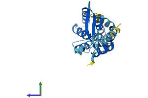 AlphaFold protein structure predicition of Mouse Recombinant Commd7 Protein, UniprotID Q8BG94