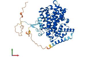 AlphaFold protein structure predicition of Mouse Recombinant Sesn1 Protein, UniprotID P58006