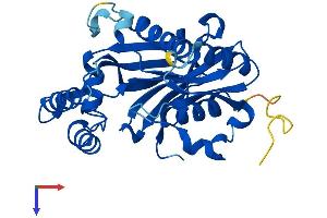 AlphaFold protein structure predicition of Human Recombinant NUDT22 Protein, UniprotID Q9BRQ3