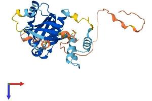 AlphaFold protein structure predicition of Human Recombinant RAB40B Protein, UniprotID Q12829