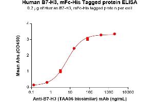 ELISA plate pre-coated by 2 μg/mL (100 μL/well) Human B7-H3 Protein, mFc-His Tag (ABIN6961085, ABIN7042199 and ABIN7042200) can bind Anti-B7-H3 (biosimilar) mAb in a linear range of 0.