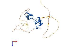 AlphaFold protein structure predicition of Mouse Recombinant Pax9 Protein, UniprotID P47242