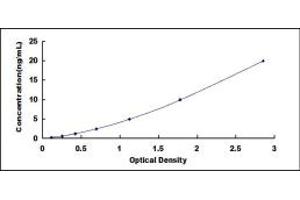 Typical standard curve (HTR2C Kit ELISA)