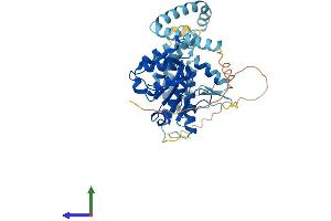 AlphaFold protein structure predicition of Mouse Recombinant Pnpla3 Protein, UniprotID Q91WW7