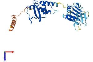 AlphaFold protein structure predicition of Mouse Recombinant Kctd4 Protein, UniprotID Q9D7X1