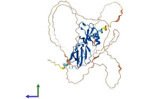 AlphaFold protein structure predicition of Mouse Recombinant Gcm1 Protein, UniprotID P70348