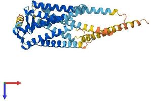 AlphaFold protein structure predicition of Mouse Recombinant Ptger2 Protein, UniprotID Q62053