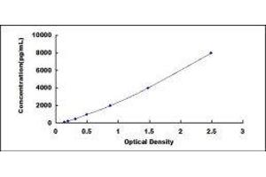 ELISA image for Collagen, Type XVIII, alpha 1 (COL18A1) ELISA Kit (ABIN415052)