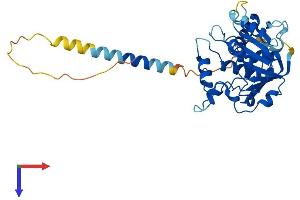 AlphaFold protein structure predicition of Mouse Recombinant St6galnac6 Protein, UniprotID Q9JM95