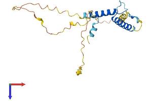 AlphaFold protein structure predicition of Human Recombinant HAND1 Protein, UniprotID O96004