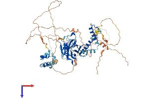 AlphaFold protein structure predicition of Human Recombinant TP73 Protein, UniprotID O15350
