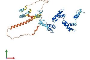 AlphaFold protein structure predicition of Human Recombinant ZNF679 Protein, UniprotID Q8IYX0