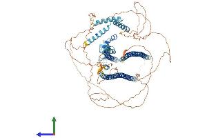 AlphaFold protein structure predicition of Mouse Recombinant Dzip1 Protein, UniprotID Q8BMD2