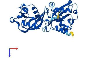 AlphaFold protein structure predicition of Mouse Recombinant Nudt18 Protein, UniprotID Q3U2V3