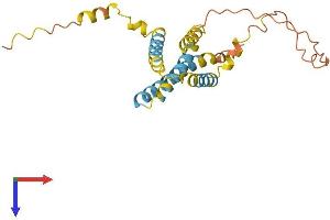 AlphaFold protein structure predicition of Human Recombinant CMTM5 Protein, UniprotID Q96DZ9