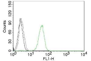 Flow Cytometry of human CD31 on Jurkat cells. (CD31 anticorps)