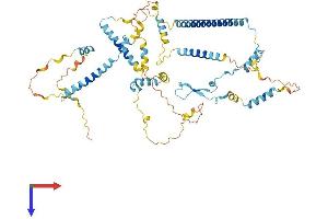 AlphaFold protein structure predicition of Human Recombinant IK Protein, UniprotID Q13123