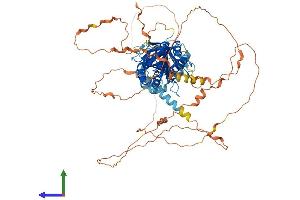 AlphaFold protein structure predicition of Human Recombinant MED25 Protein, UniprotID Q71SY5
