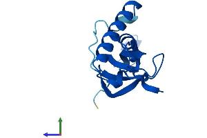 AlphaFold protein structure predicition of Mouse Recombinant Rpl27 Protein, UniprotID P61358